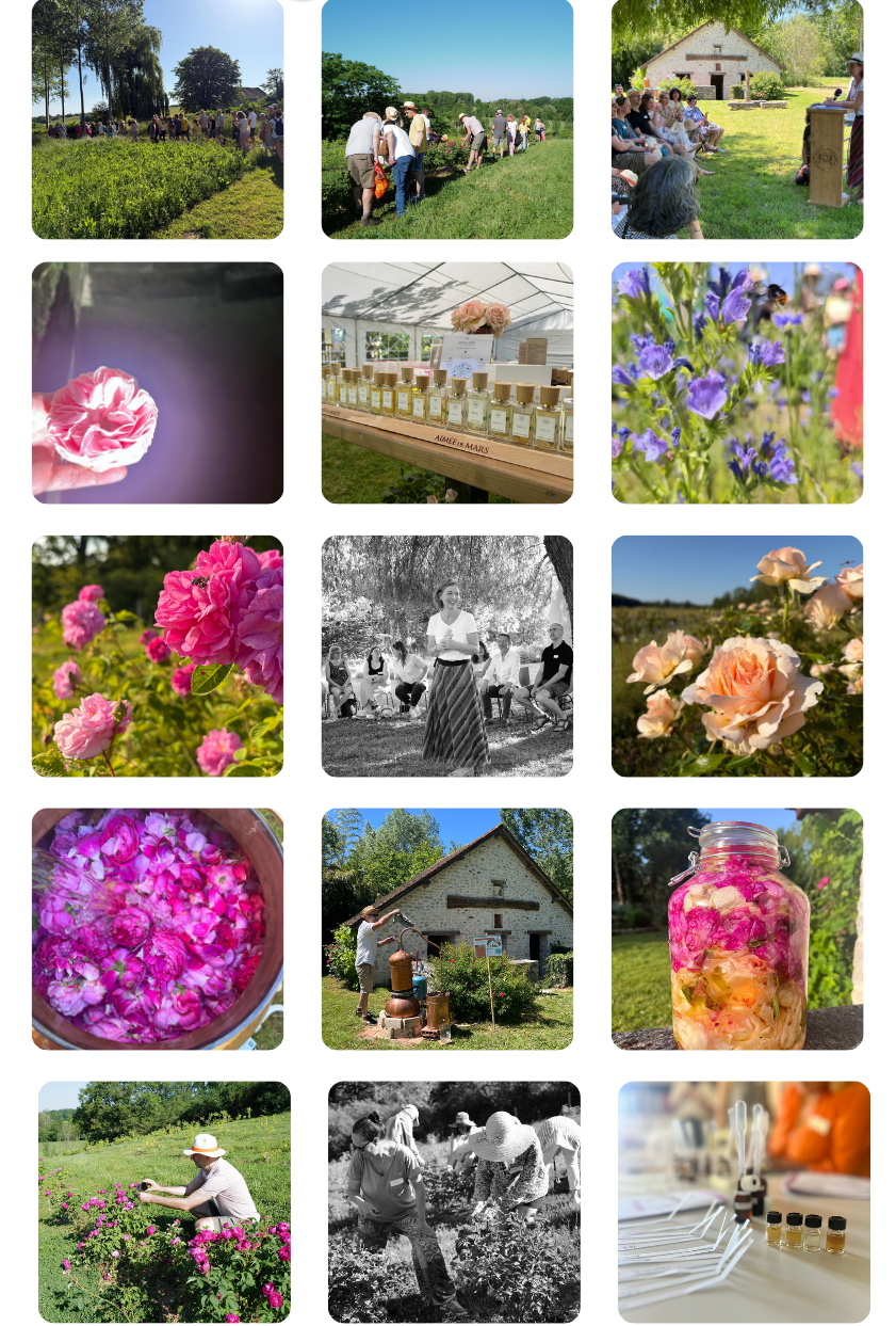 Vendanges Florales, Aimee de Mars - Mai 2026