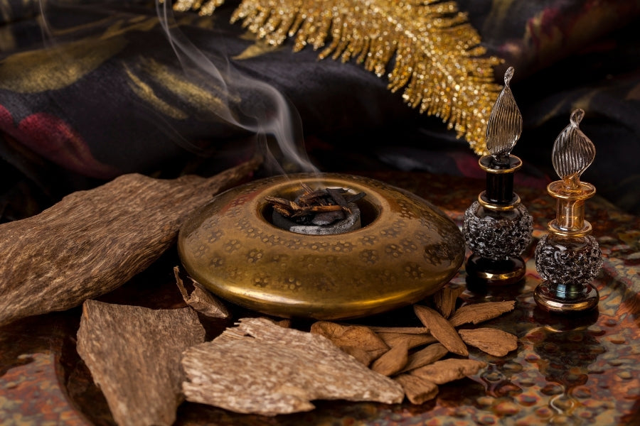 Le bois de Oud, entre luxe et mystère : l'or rare de la parfumerie