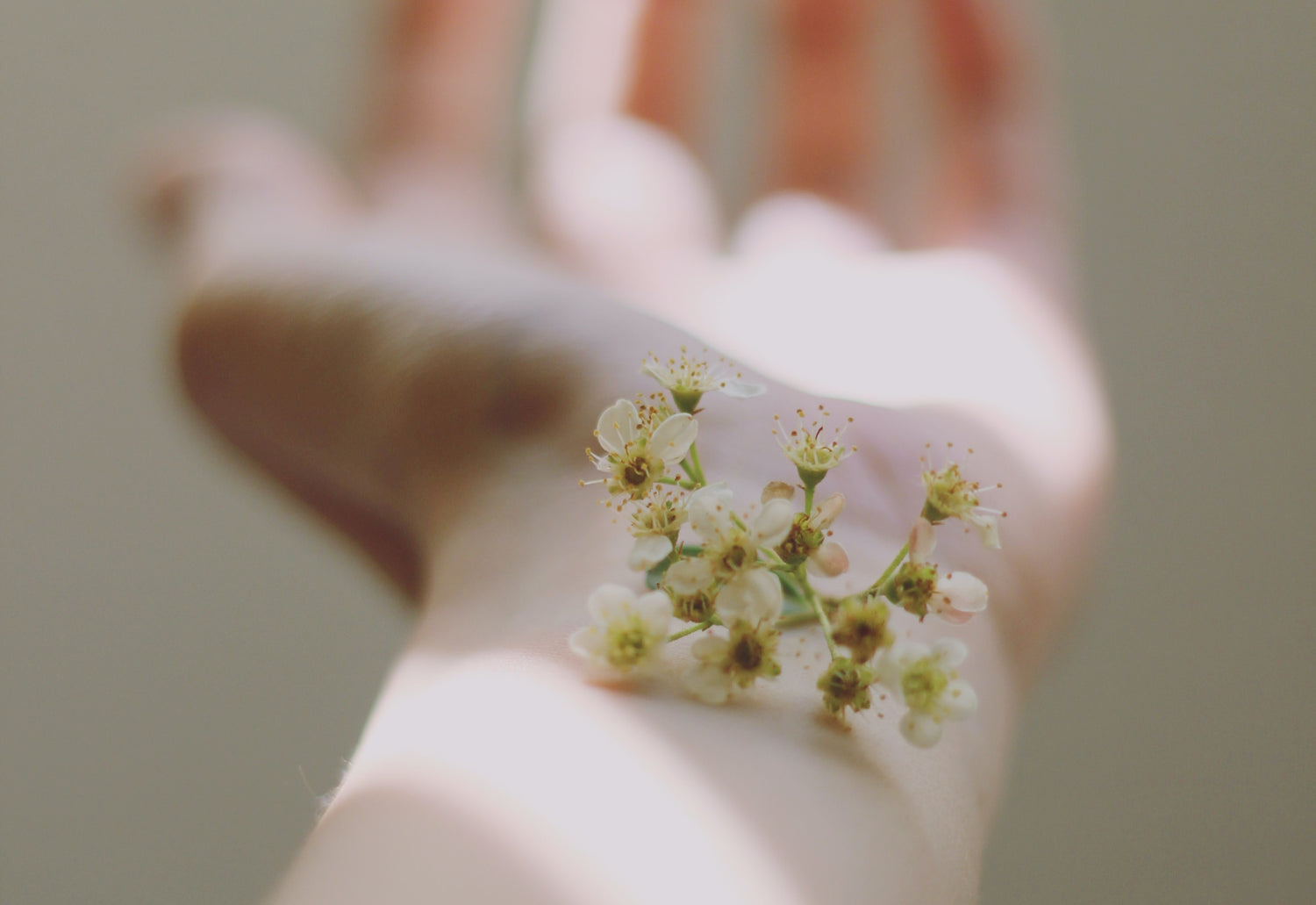 Les allergies au parfum