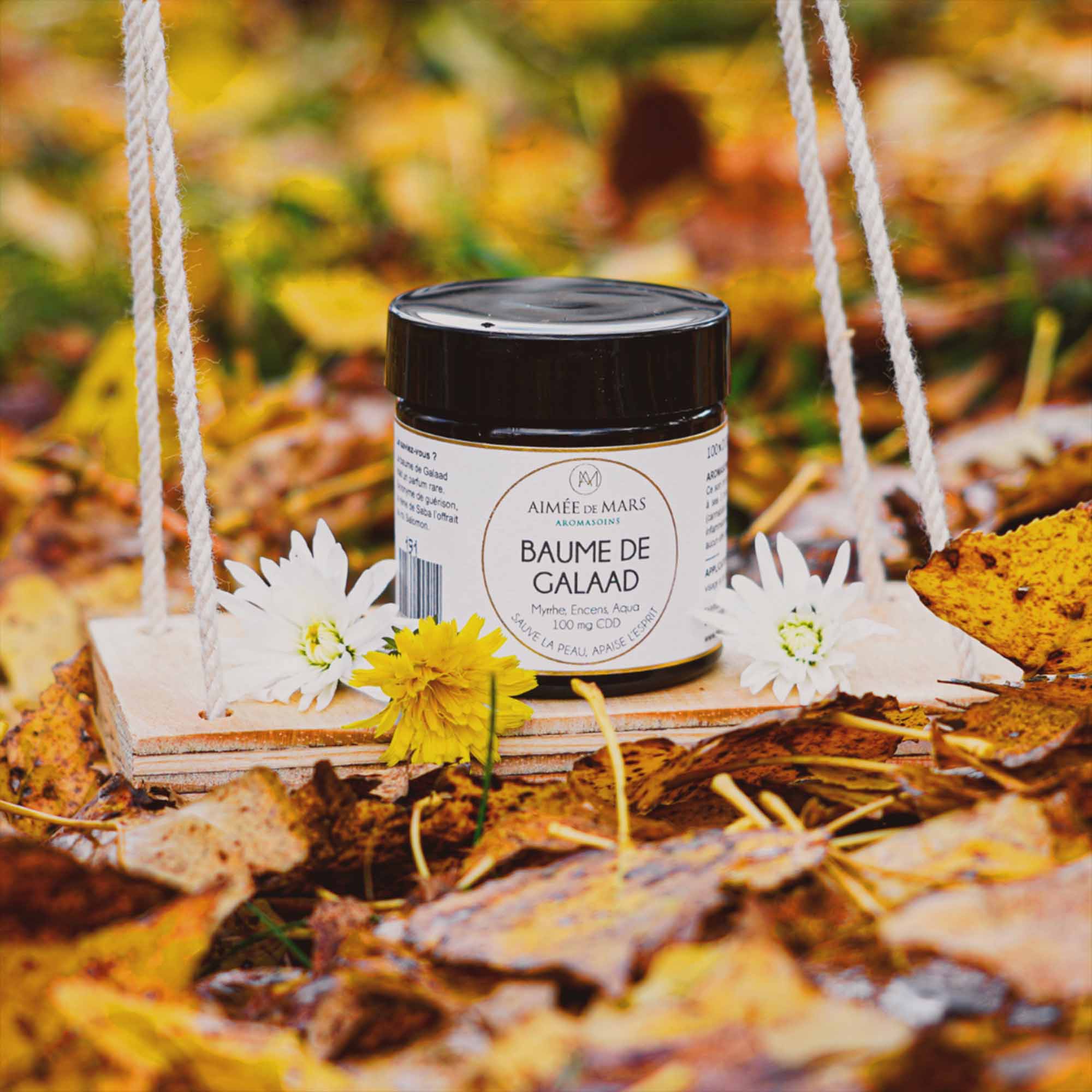 Baume Soin Reparateur Naturel