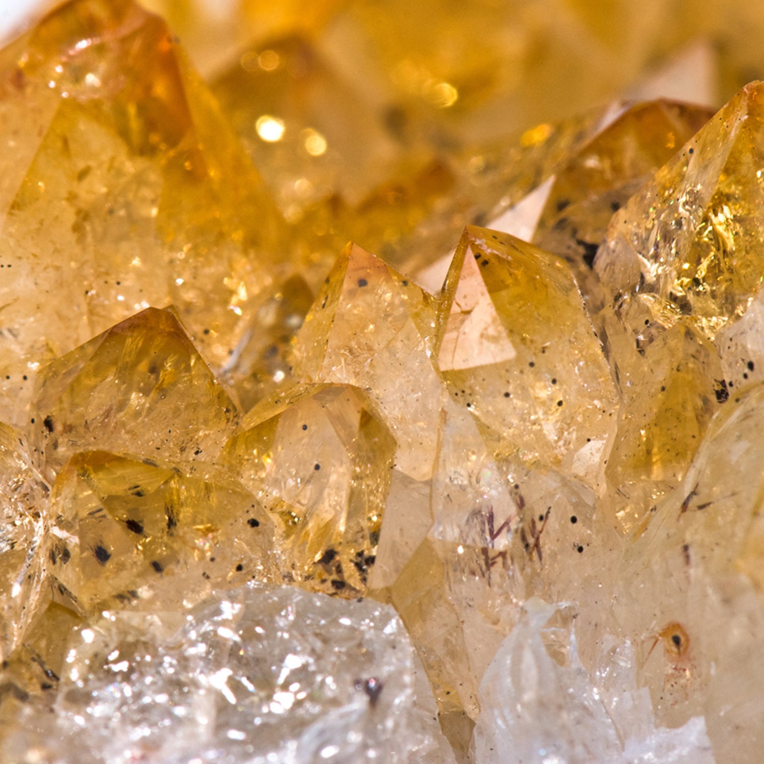 Citrine, Pierre précieuse des parfums naturels Aimée de Mars