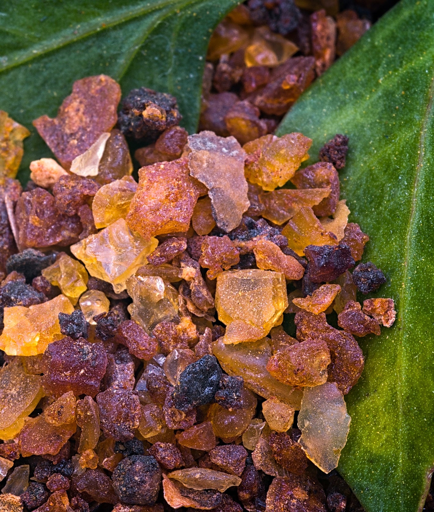 Myrrhe, Matière première naturelle des parfums Aimée de Mars