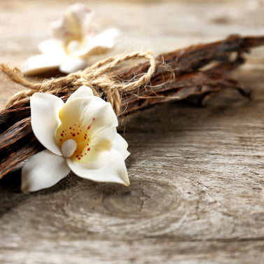 Vanille, matière première naturelle des parfums Aimée de Mars