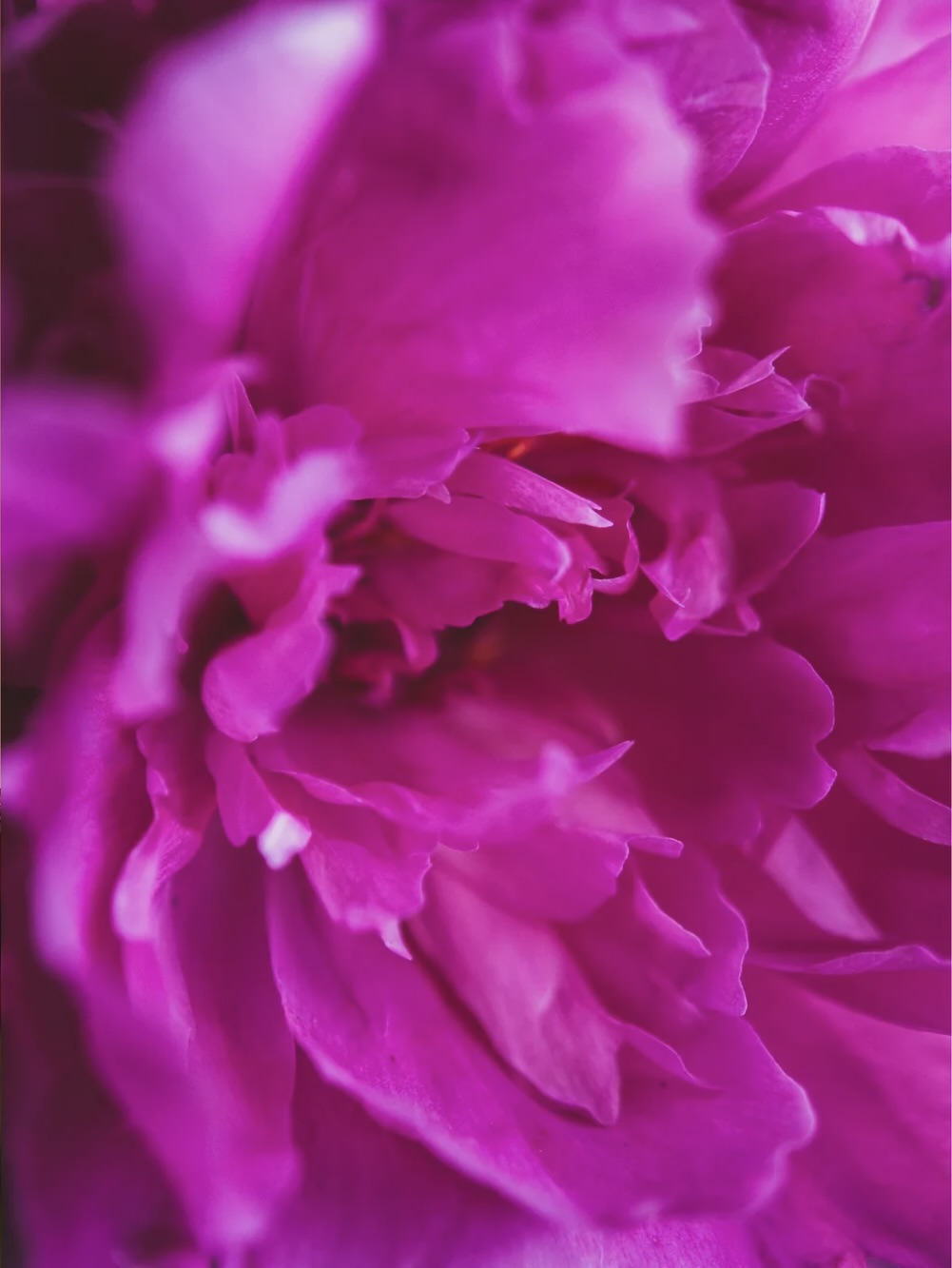 parfum naturel